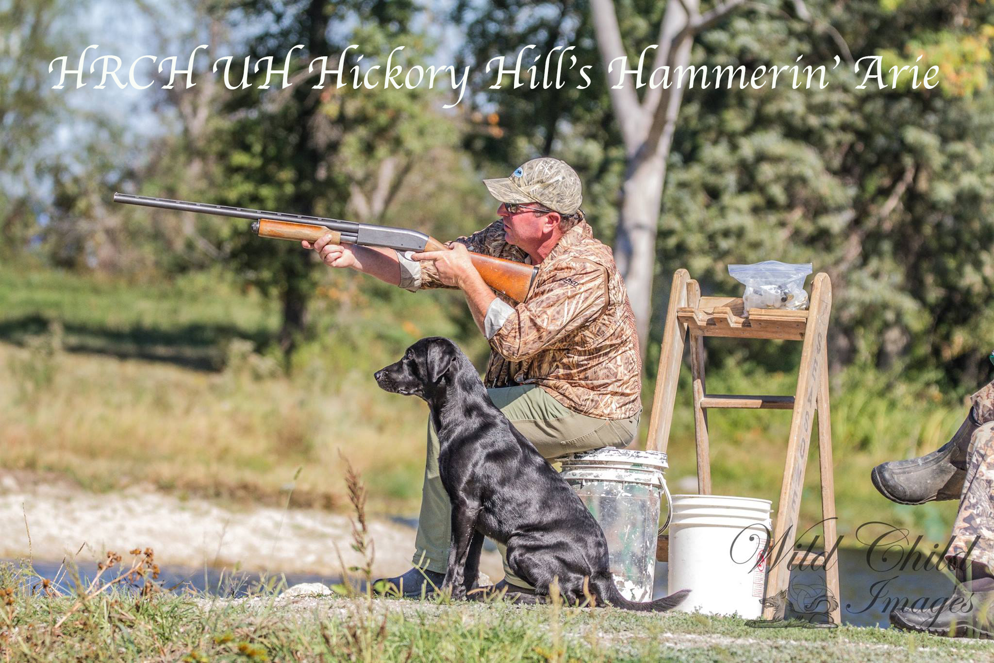 HRCH UH Hickory Hill's Hammerin' Arie MH | Black Labrador Retriver