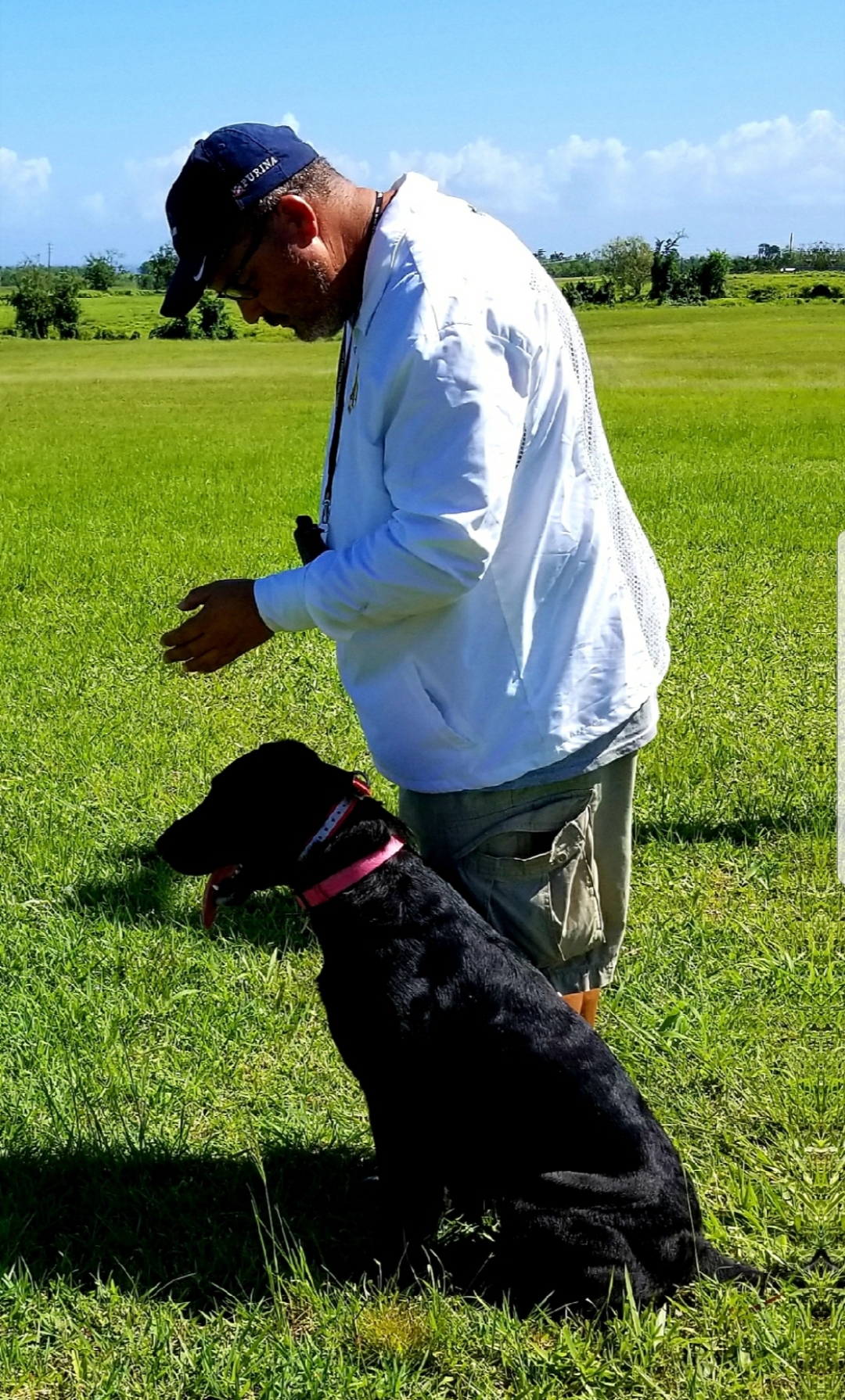 Carbon Star's Second Chance | Black Labrador Retriver