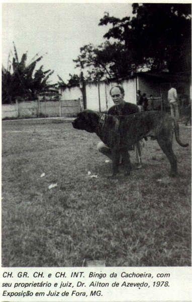 BINGO DO CACHOEIRA | Fila Brasileiro 