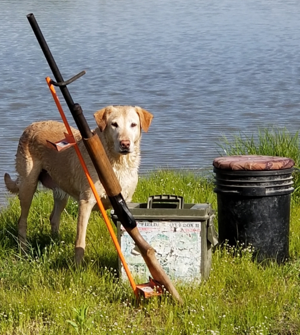 HRCH UH Cahokia Creeks Willow In The Wind | Yellow Labrador Retriver