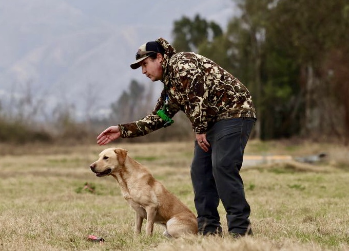 HR Crosbear's Tuck And Roll SH | Yellow Labrador Retriver