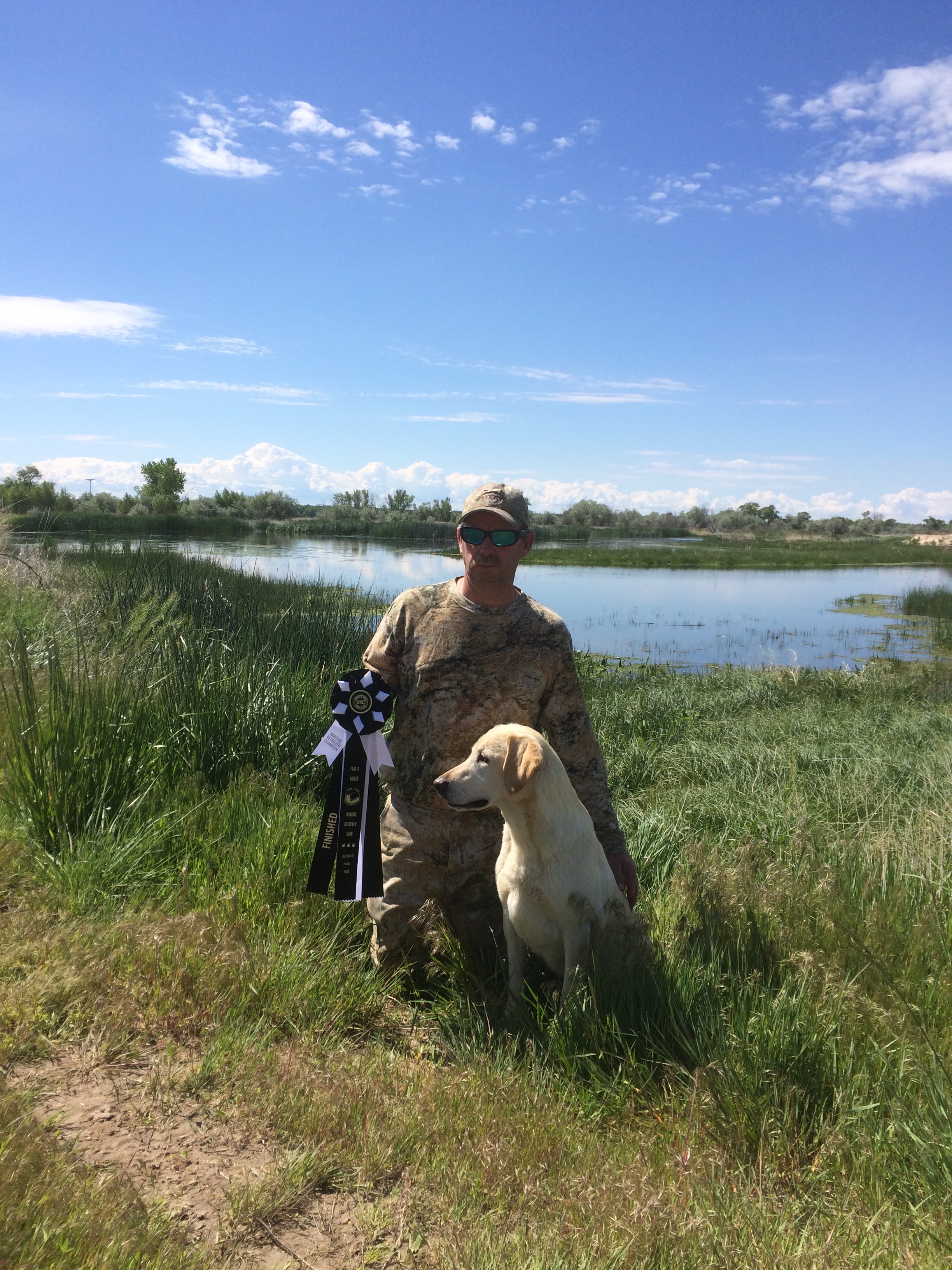 HRCH Huntmaster's Hunt It Up Timber | Yellow Labrador Retriver