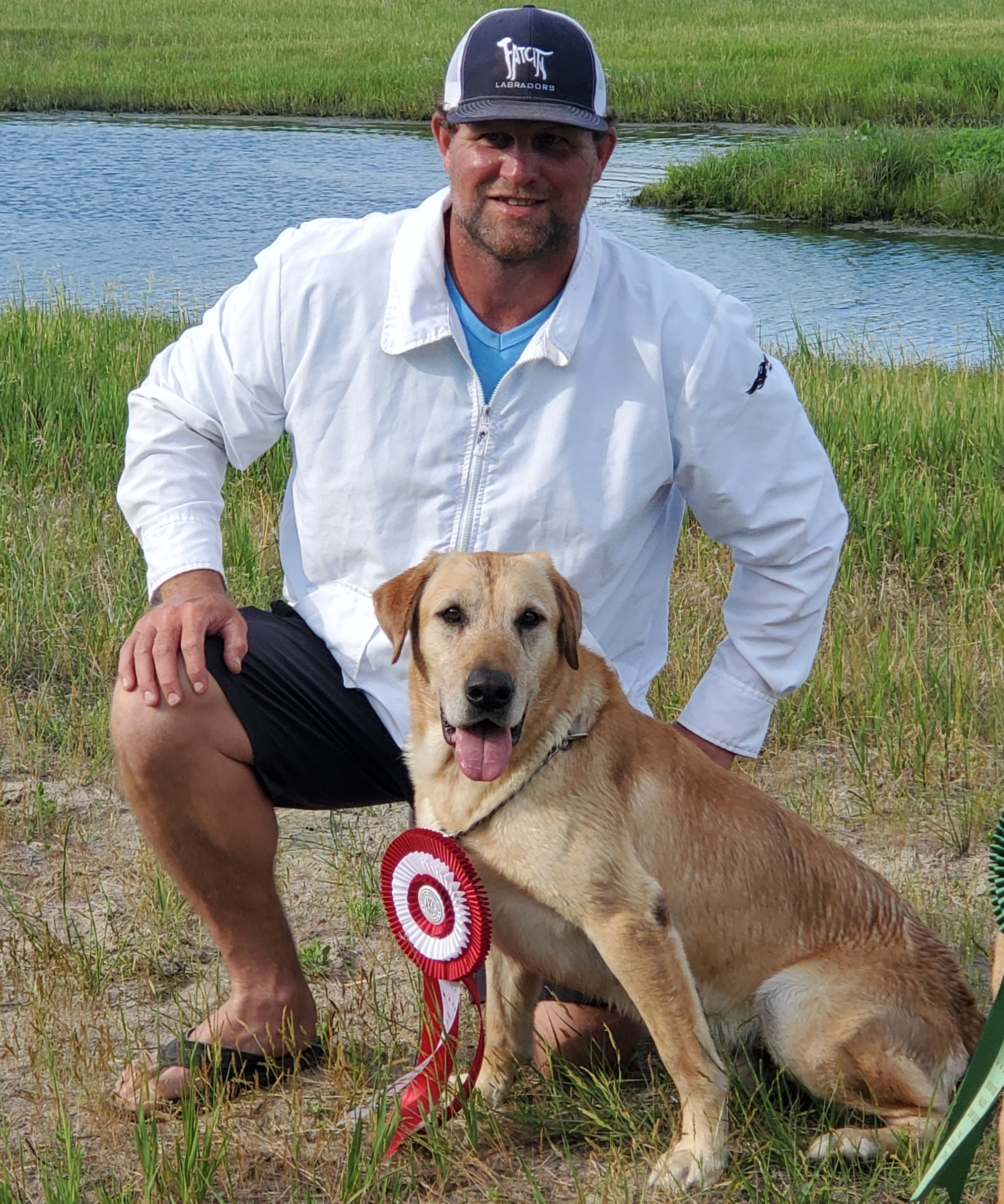 Lz’s Drilling For A Billion QAA | Yellow Labrador Retriver