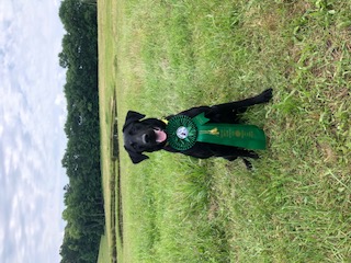 Up Rivers Unsinkable Legend | Black Labrador Retriver