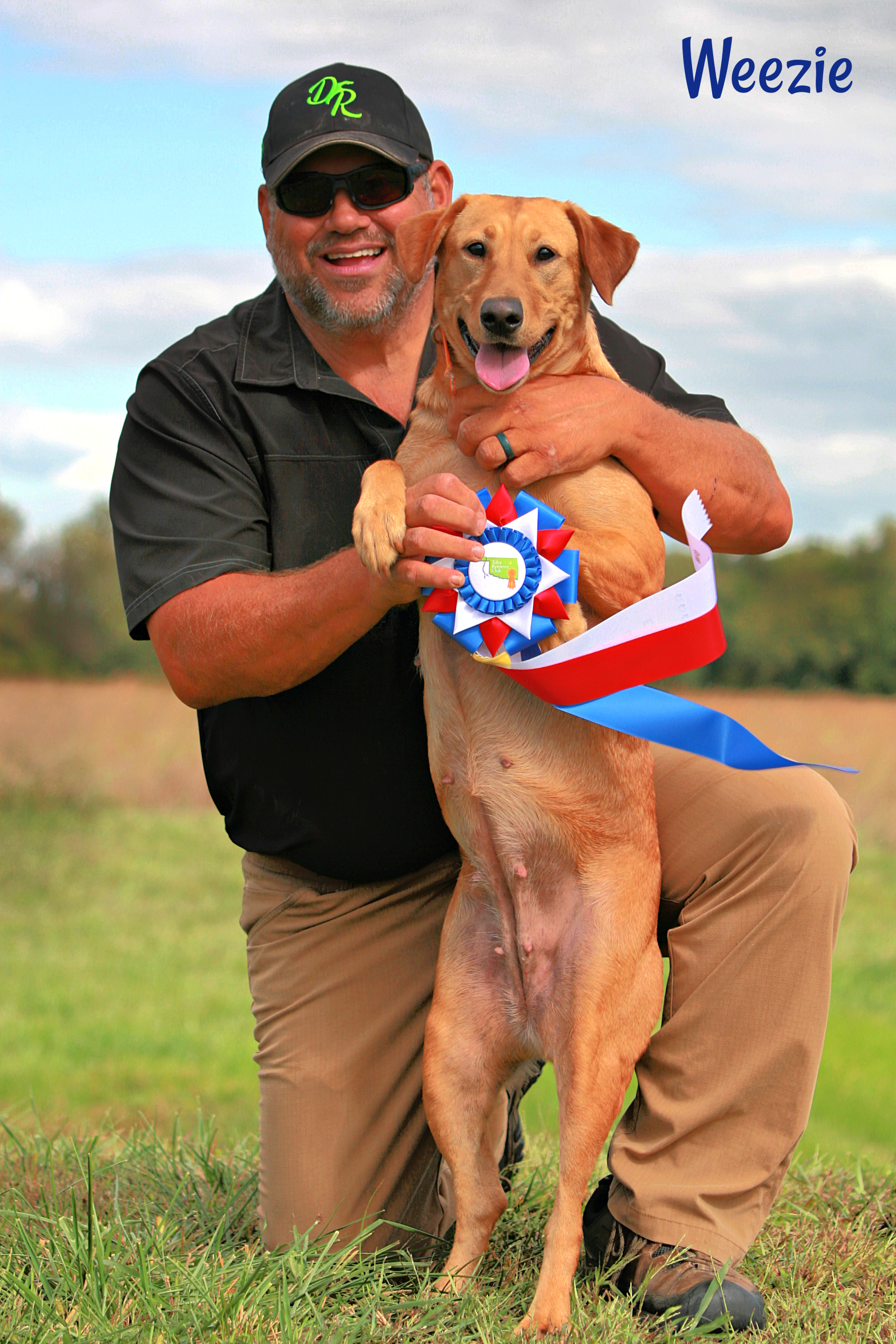 Downtown's Miss La Weezie Anna SH | Yellow Labrador Retriver