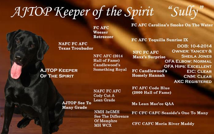 AJTOP Keeper Of The Spirit MH | Black Labrador Retriver