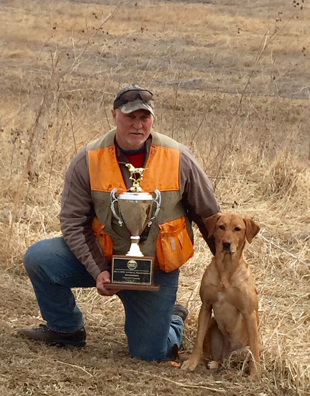 BDC WC, NC, SMx3 SUPER K PERAZZI UNLIMITED | Yellow Labrador Retriver