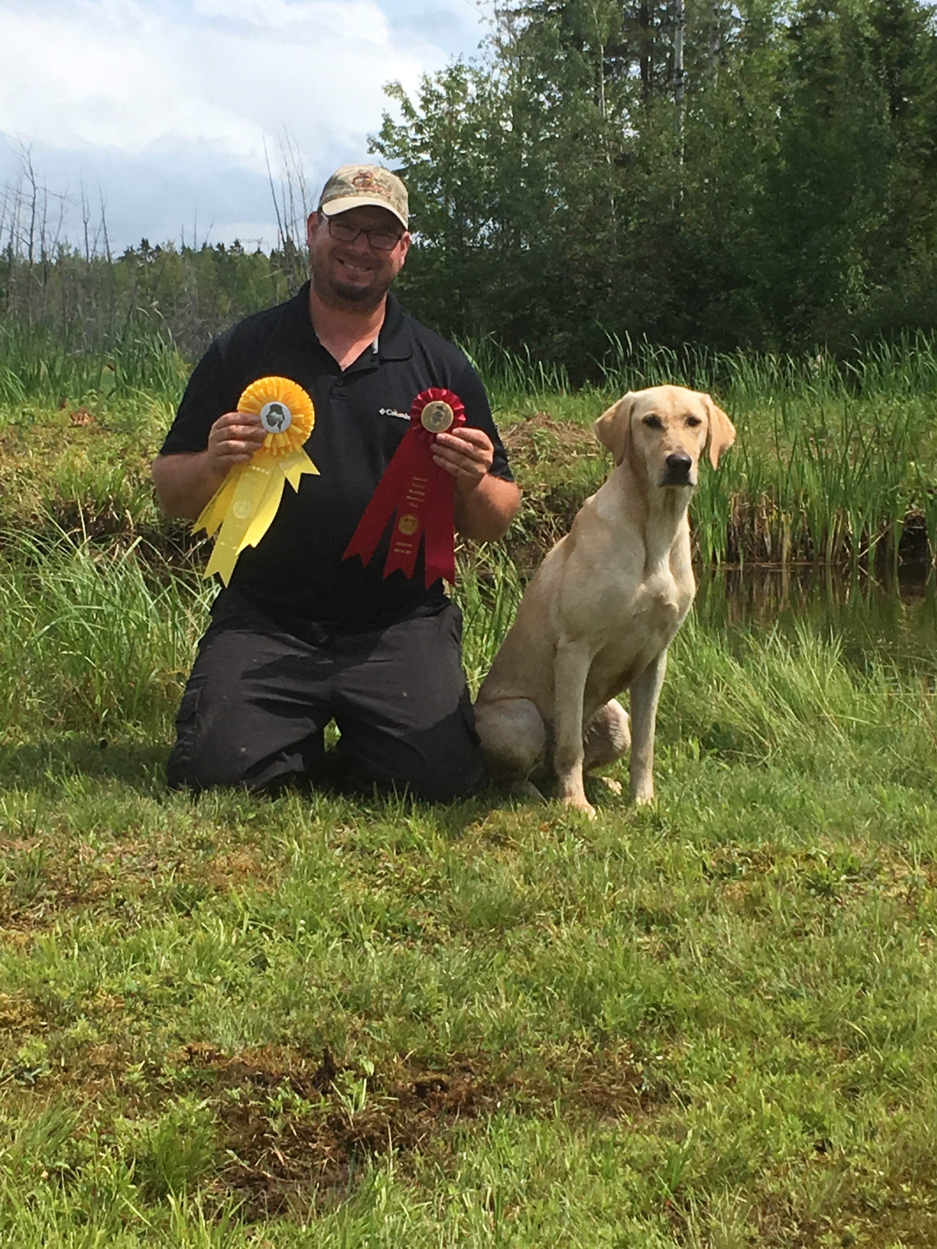 Manicoute Eclipse De Lune MH QFTR | Yellow Labrador Retriver