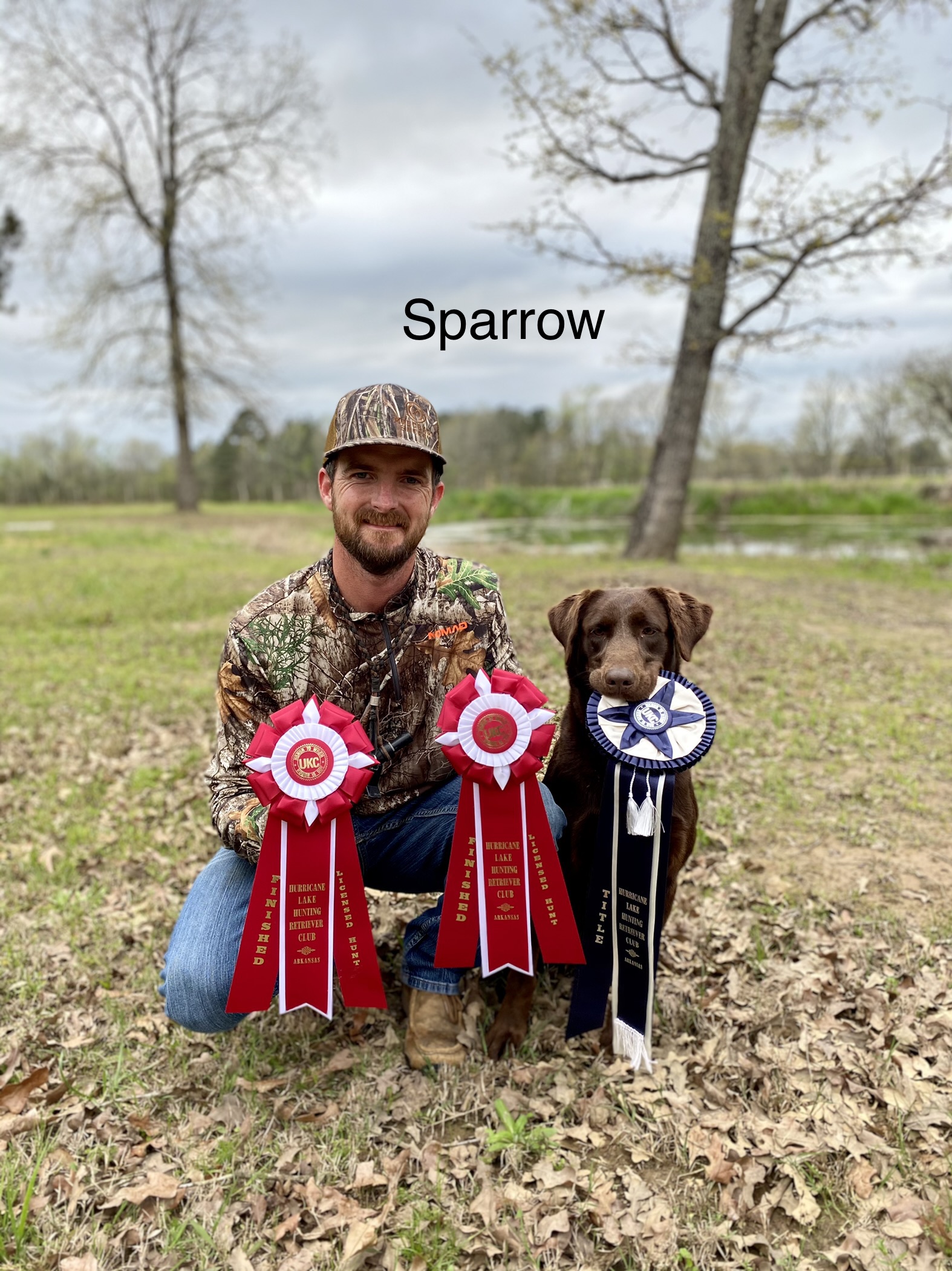 HRCH L&M's His Eye Is On The Sparrow | Chocolate Labrador Retriver