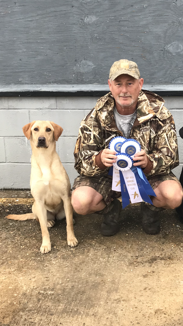 GRHRCH Hardy Lakes Jumping Marley MH | Yellow Labrador Retriver