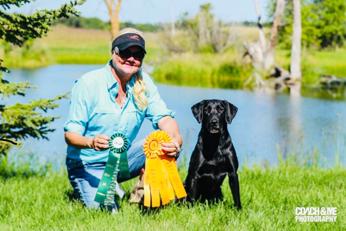 Stonebrook’s Evasive Maneuver MH | Black Labrador Retriver