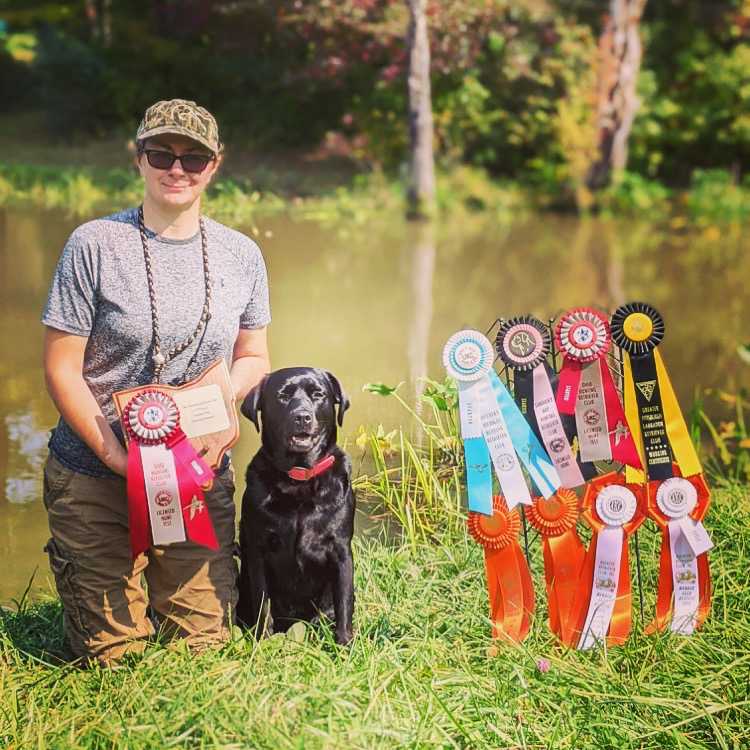 SHR Sookie's Rookie Buckeye JH WC | Black Labrador Retriver