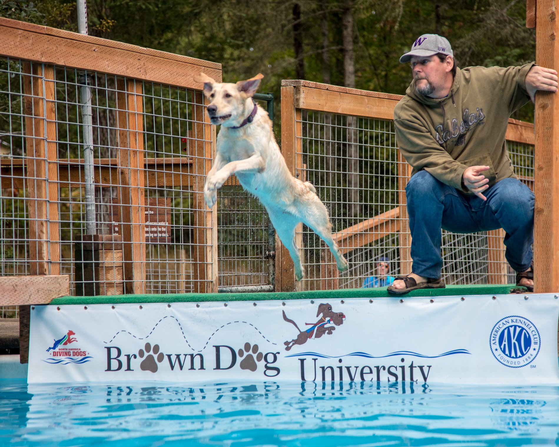 HFR'S Benchmaid Birdmonger NADD DJ DS | Yellow Labrador Retriver