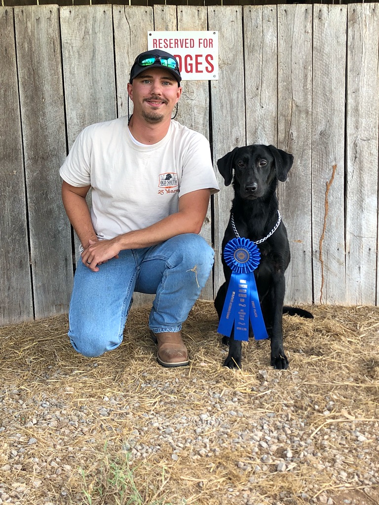 Lukes Walk A Mile In His Shoes QAA | Black Labrador Retriver