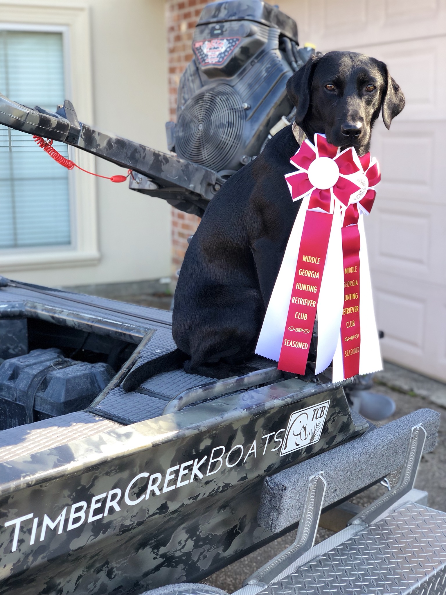 Southern Ways Lil Dut Dut | Black Labrador Retriver