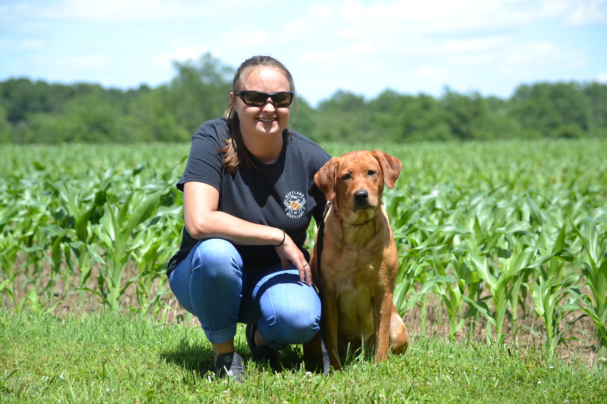 Deep Hollows Crimson River BH CGCA TKN FDC | Yellow Labrador Retriver