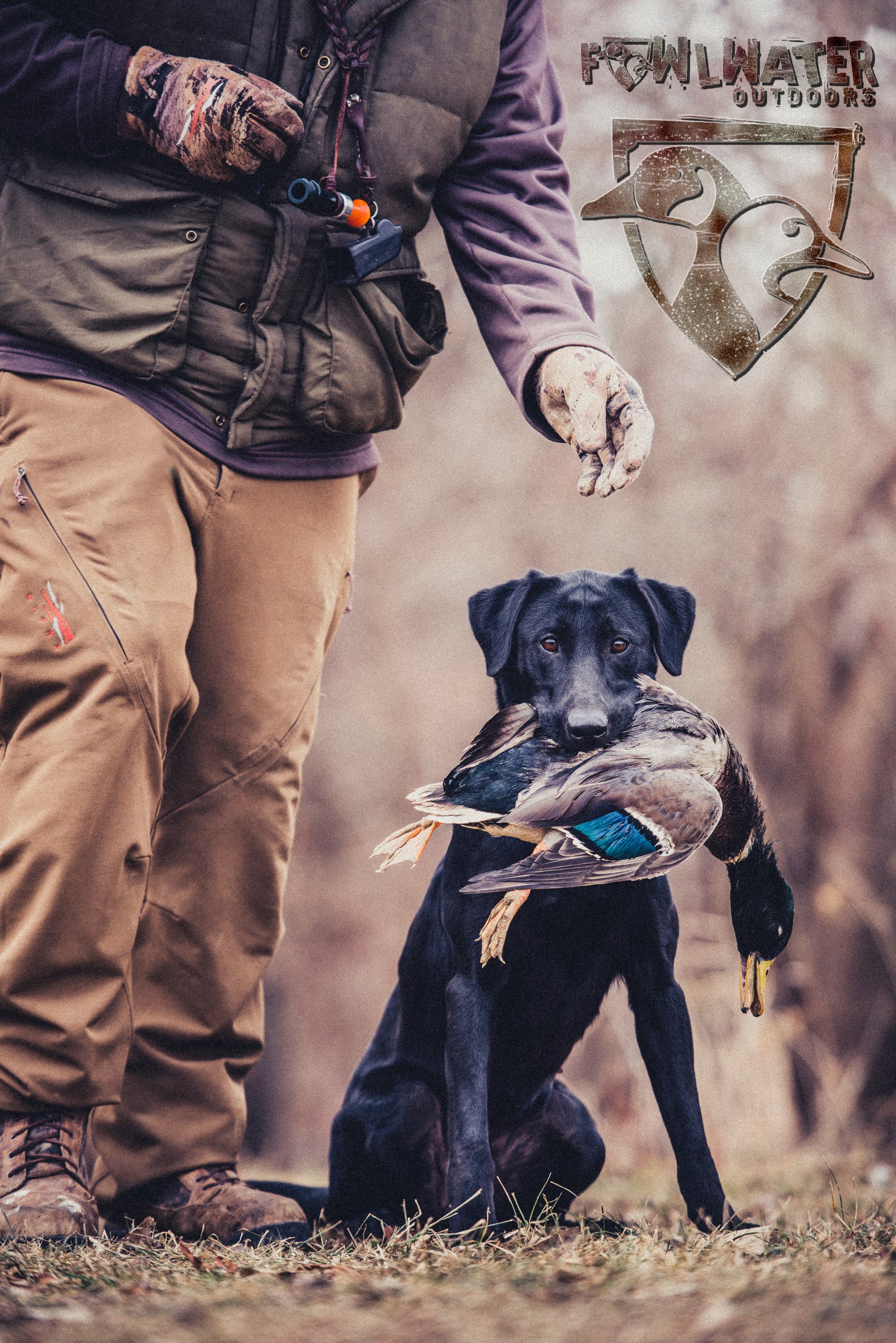 Goldeneyes Fowlwater Ripple SH | Black Labrador Retriver