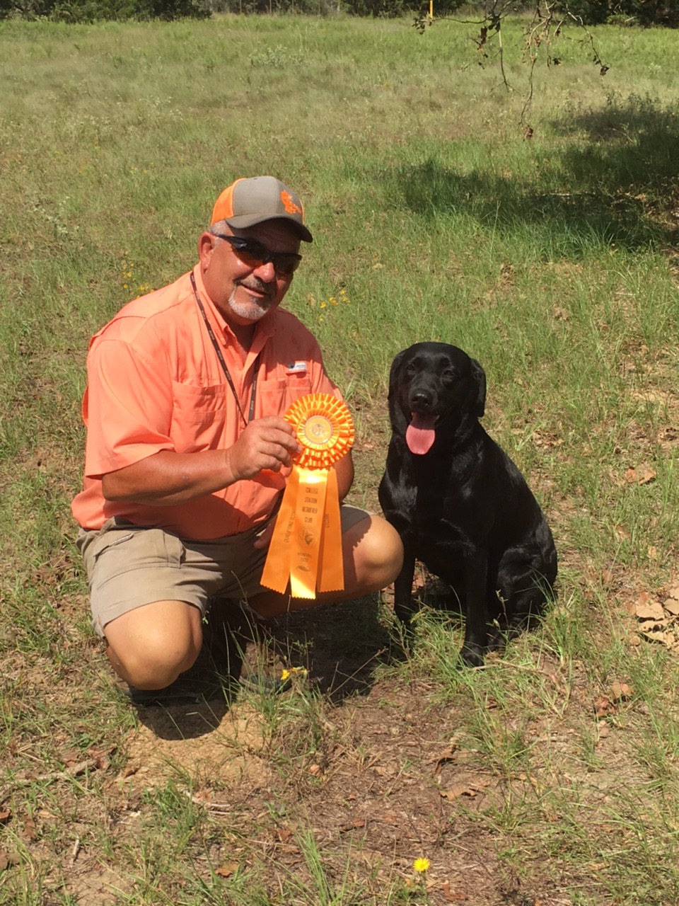 Tioga's Cami Lou SH | Black Labrador Retriver