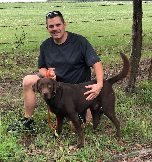 Crumpler's The Bare Necessities Of Life | Chocolate Labrador Retriver