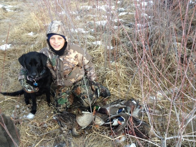 Justamere Firecracker | Black Labrador Retriver