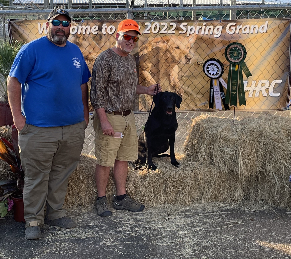 HRCH Big Trax Grady's Wild Card QAA | Black Labrador Retriver