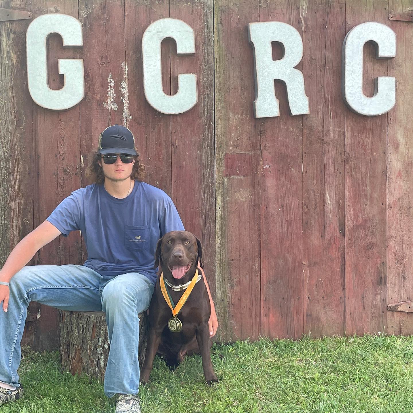 SHR WyngMaster Boyle's Gunner Roux | Chocolate Labrador Retriver