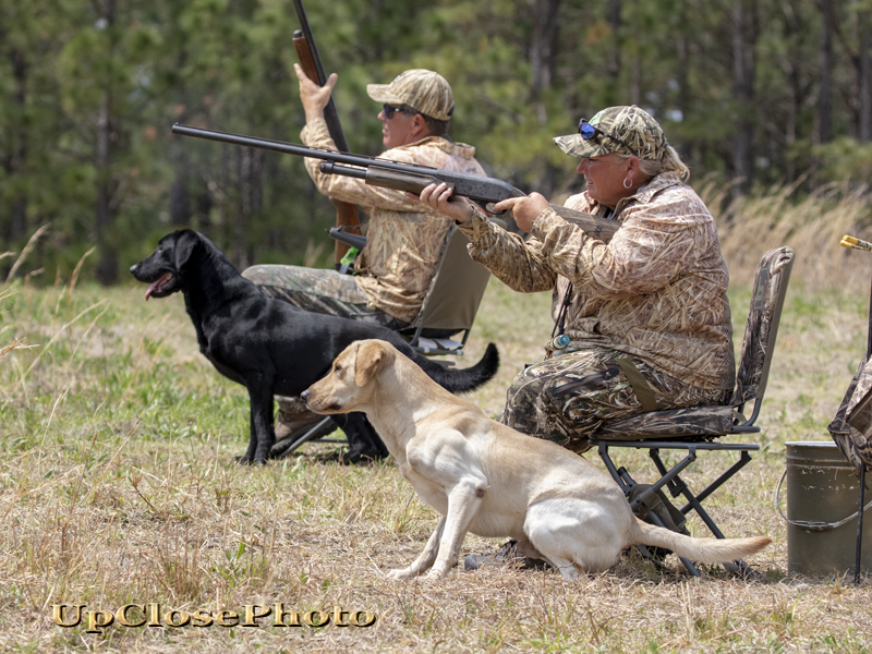 HRCH Schulte's Shootin' The Triple SH | Yellow Labrador Retriver