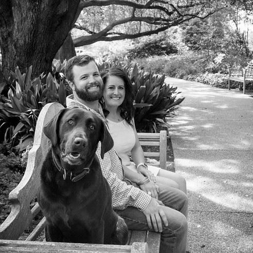 Storm's Lone Star Lola | Chocolate Labrador Retriver