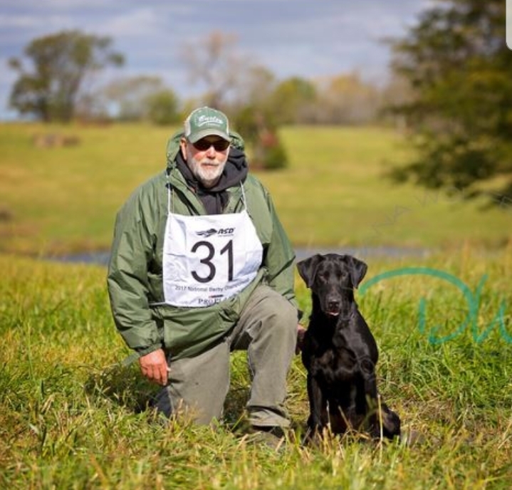 FC Bigwood's Last Man Standing QAA | Black Labrador Retriver