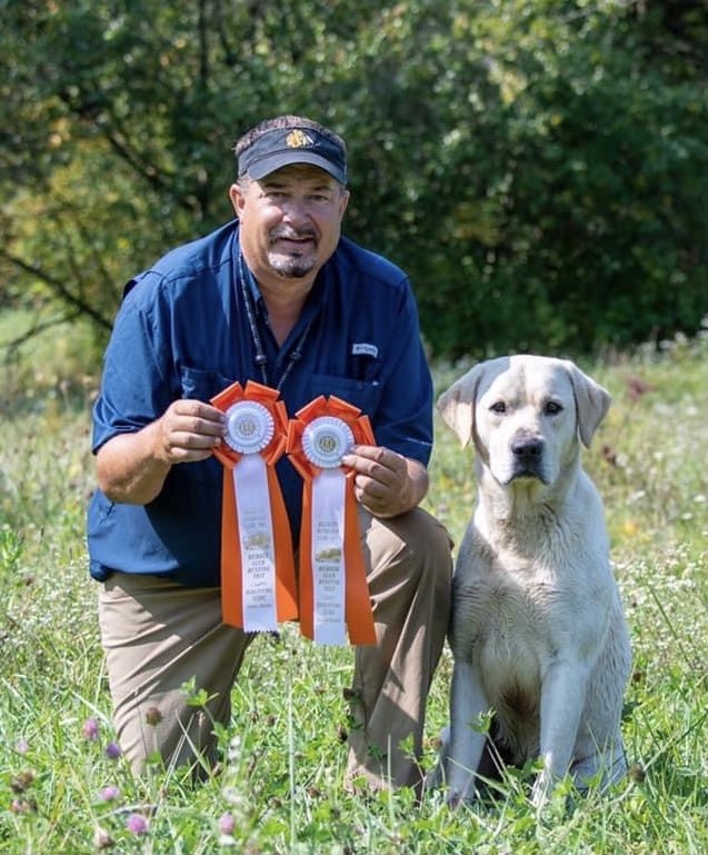 Kerrybrook's Loughrigg SH | Yellow Labrador Retriver