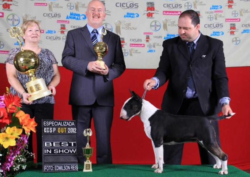 Rio do Areal Funny | Bull Terrier 