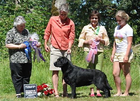 GR CH Nipntuck Scootin' By | Black Labrador Retriver