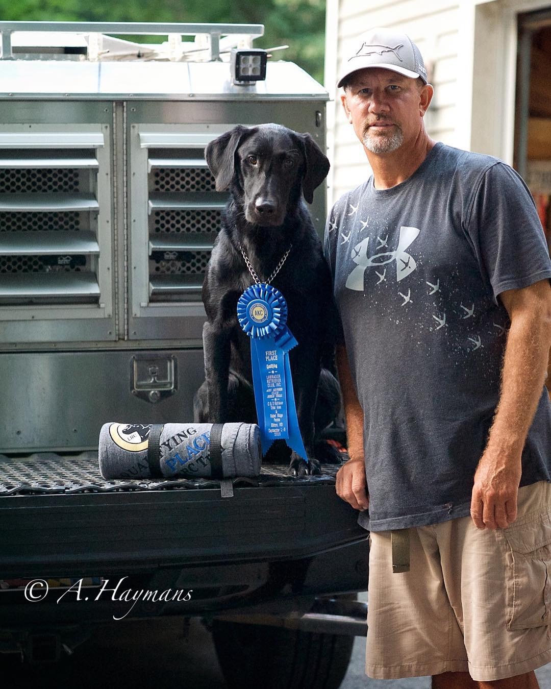 AFC Greenwood Creek's Ranger Danger | Black Labrador Retriver