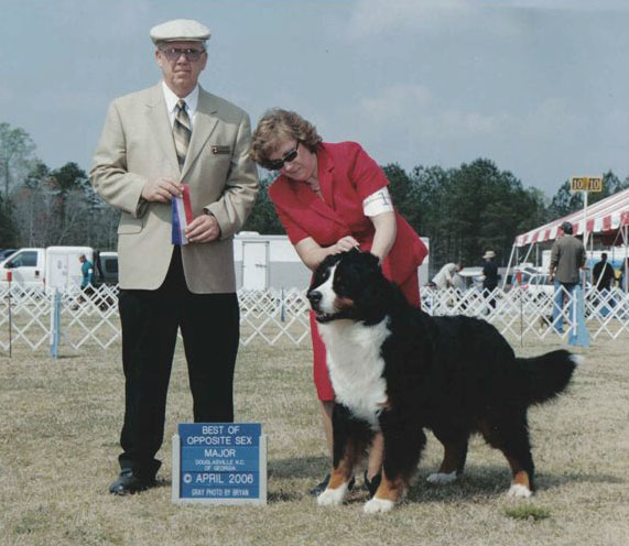 Mentmore's Noblesse Oblige | Bernese Mountain Dog 