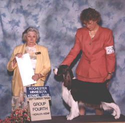 Wil-Orion's Eldamar Twilight | English Springer Spaniel 