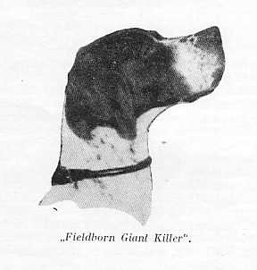 GIANT KILLER FIELDBORNS | Pointer 