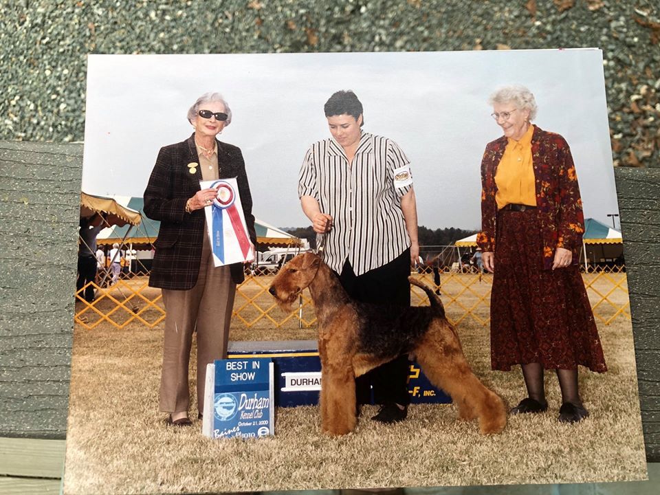 Terrydale HK Shaireab Log On | Airedale Terrier 