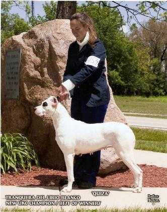 Tranquera Del Lirio Blanco | Argentine Dogo 