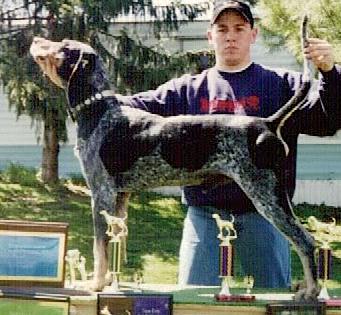 Blue River Berry | Bluetick Coonhound 