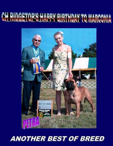 Ridgetop`s happy birthday to marconia | Bullmastiff 