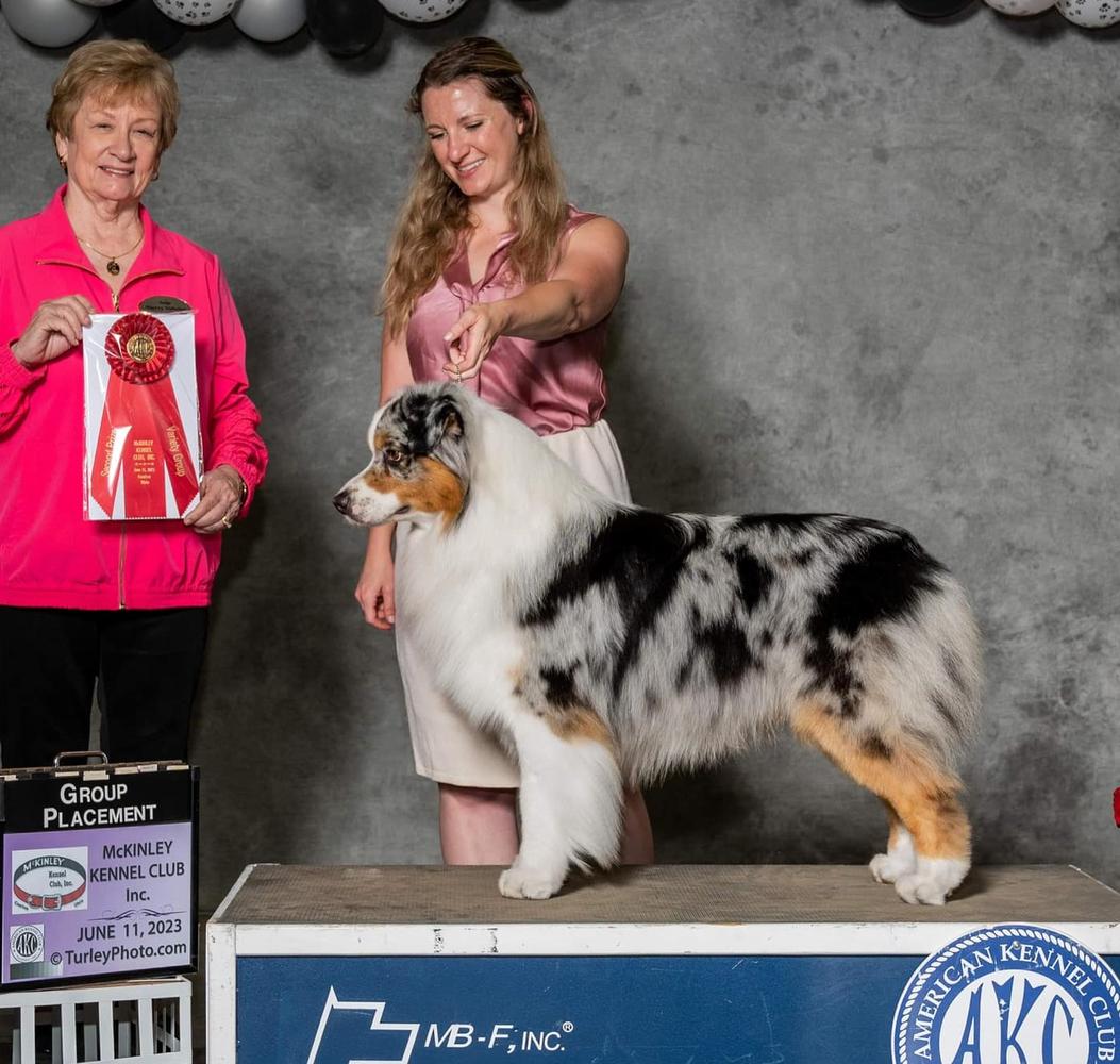 Riverlook Just Ledoux It | Australian Shepherd 