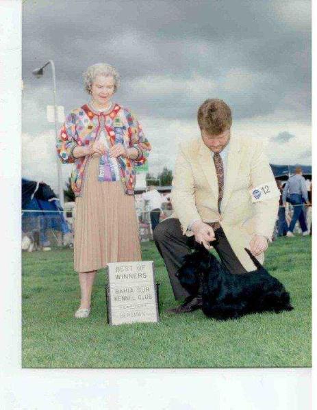 Ravenscraig Rampage | Scottish Terrier 