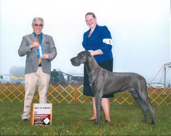 Blueprint's Hear Me Roar | Great Dane 
