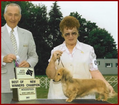 Sniffntells Wroyal Ransom | Dachshund 