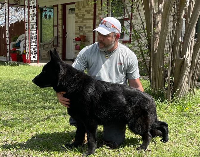 Xcalibur Aus Mecklenburg | German Shepherd Dog 
