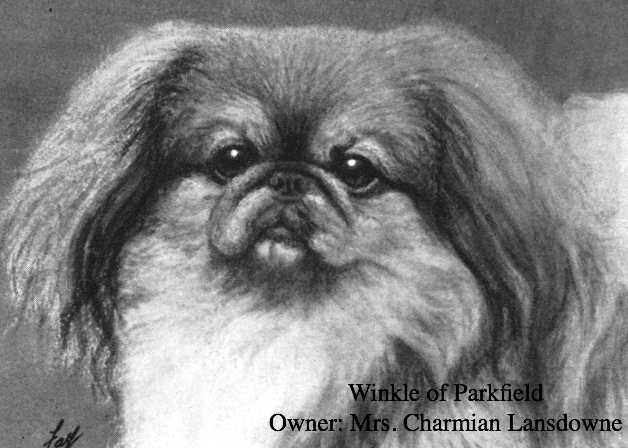 Winkle of Parkfiel | Pekingese 