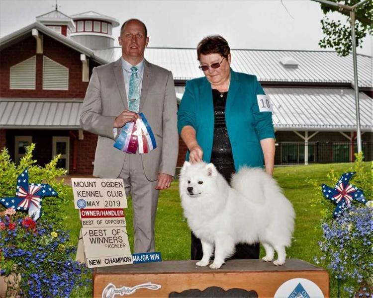 Whytelight-AH’s Rainbow’s Legacy | American Eskimo Dog 