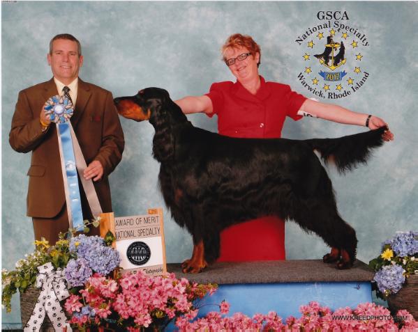 Sassenach King of the Castle | Gordon Setter 