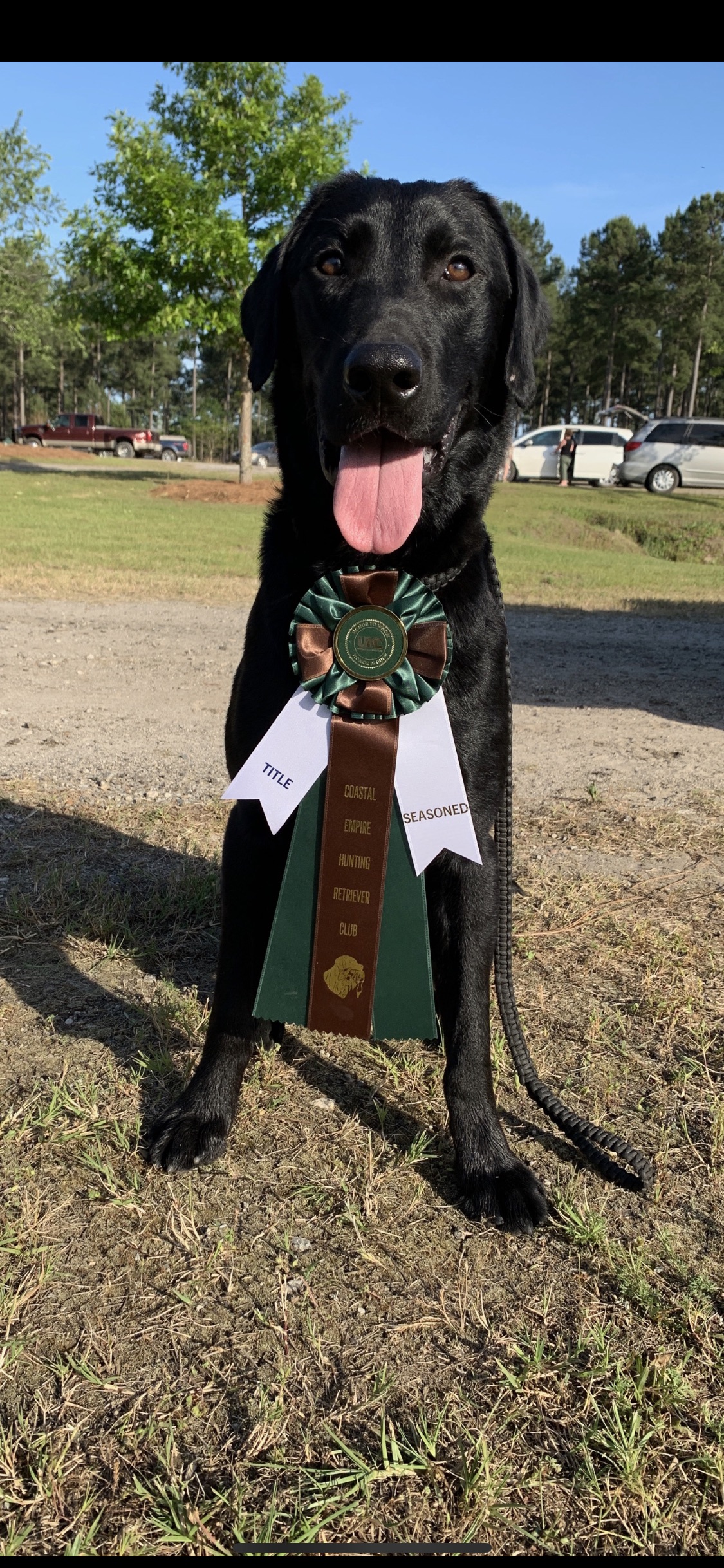 HR  Rebel Reese Of The Southeast SH | Black Labrador Retriver