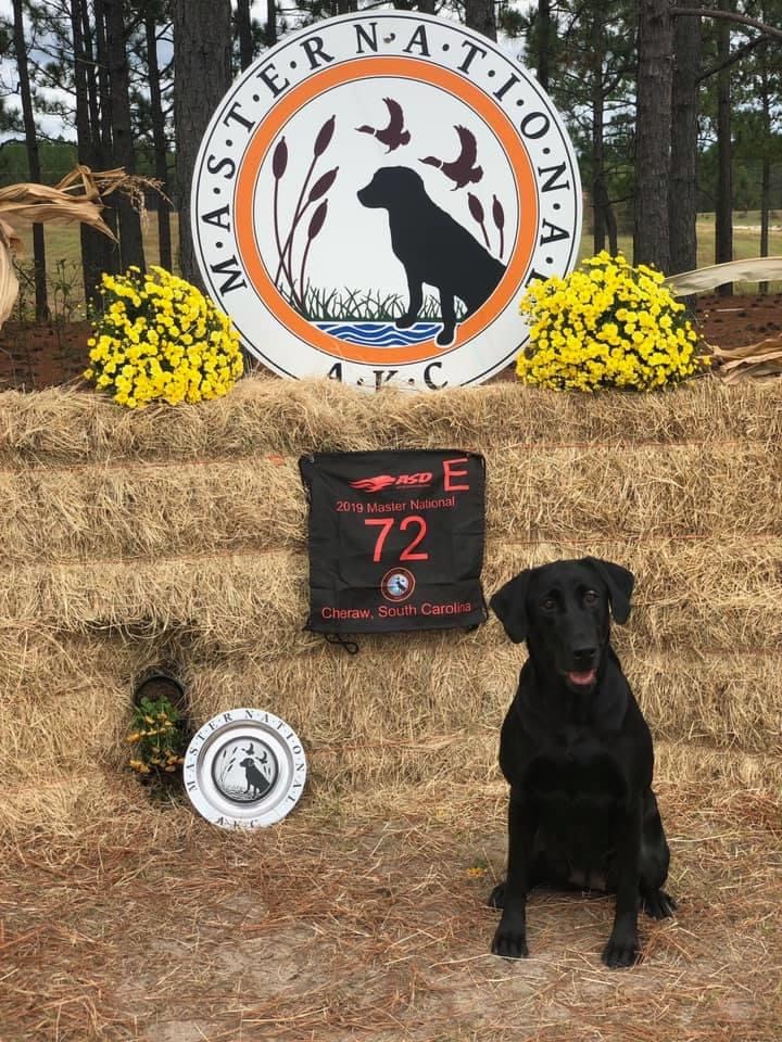 Bay Creeks Alberta Clipper MH | Black Labrador Retriver